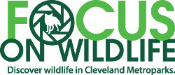 Focus on Wildlife -- Cleveland Metroparks